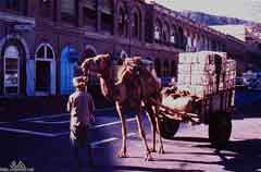 ���� ������ ��� ��� ����