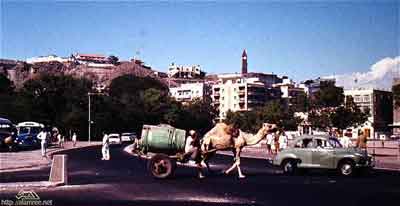 ���� ������ ��� ��� ����