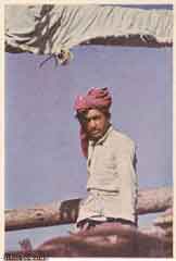 انقر للحصول على حجم اكبر