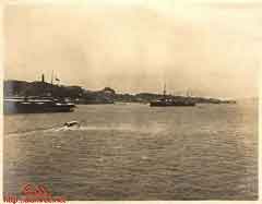 انقر للحصول على حجم اكبر