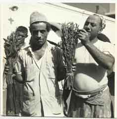 ���� ������ ��� ��� ����