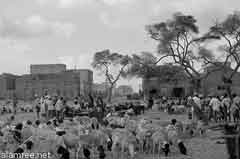 انقر للحصول على حجم اكبر