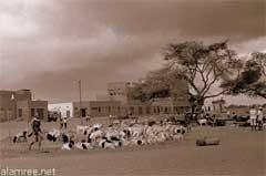 انقر للحصول على حجم اكبر