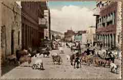 انقر للحصول على حجم اكبر