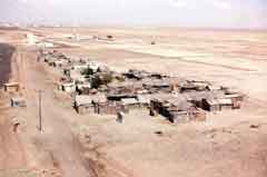 ���� ������ ��� ��� ����