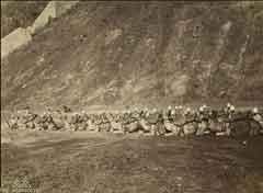 ���� ������ ��� ��� ����