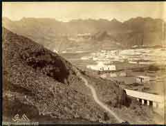 ���� ������ ��� ��� ����