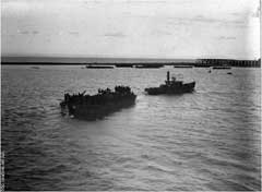 ���� ������ ��� ��� ����