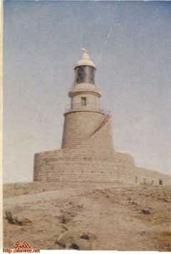 ���� ������ ��� ��� ����