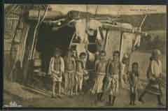 ���� ������ ��� ��� ����