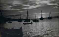 ���� ������ ��� ��� ����