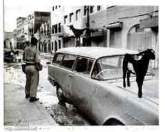 انقر للحصول على حجم اكبر