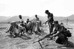 انقر للحصول على حجم اكبر