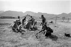 انقر للحصول على حجم اكبر