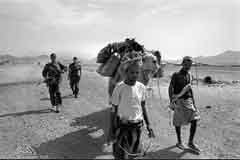 انقر للحصول على حجم اكبر