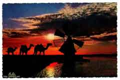 ���� ������ ��� ��� ����