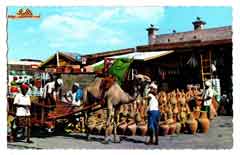 ���� ������ ��� ��� ����