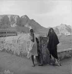 ���� ������ ��� ��� ����