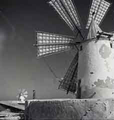 انقر للحصول على حجم اكبر