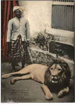 ���� ������ ��� ��� ����