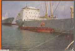 ���� ������ ��� ��� ����