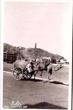 انقر للحصول على حجم اكبر