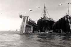 ���� ������ ��� ��� ����