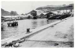 ���� ������ ��� ��� ����