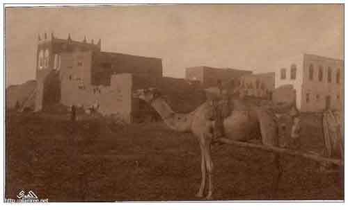 ���� ������ ��� ��� ����