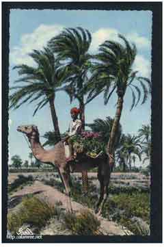 ���� ������ ��� ��� ����