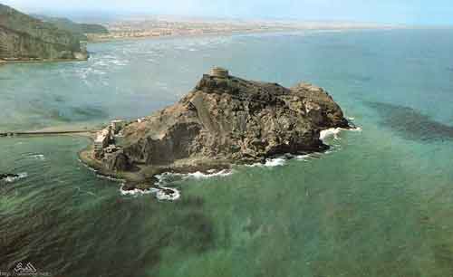 ���� ������ ��� ��� ����