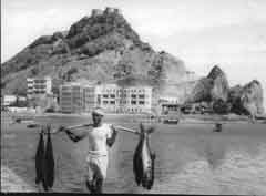 ���� ������ ��� ��� ����