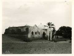 ���� ������ ��� ��� ����