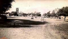 ���� ������ ��� ��� ����