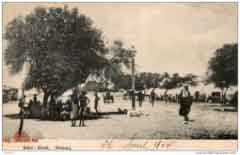 ���� ������ ��� ��� ����