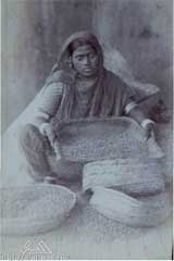 ���� ������ ��� ��� ����