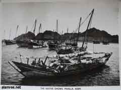 ���� ������ ��� ��� ����