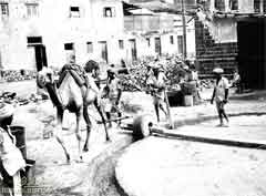 ���� ������ ��� ��� ����