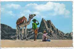 ��� ������ ��� ��� 