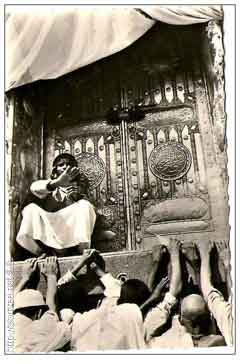 ���� ������ ��� ��� ����