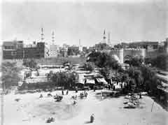 ���� ������ ��� ��� ����