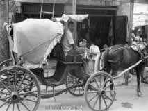 ����� ��� 1954