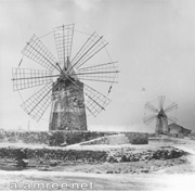 ������� ������� 1926