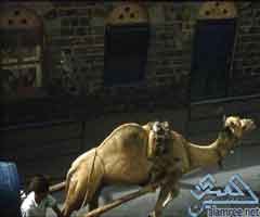 ��� �� ������ ���� ������� ���� ���� ������ �� ��� �����