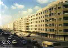 ������� ��� 1964