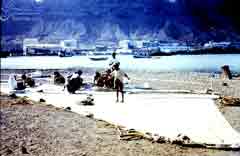 ������ ������ ������� ������ �������� ���� ����� �� ��������