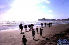 ���� ���� ������� ����� ������