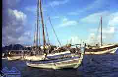 ���� ������ ����� �� ����� ���������