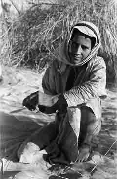 ���� ������ ��� ��� ����