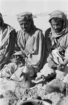 ���� ������ ��� ��� ����